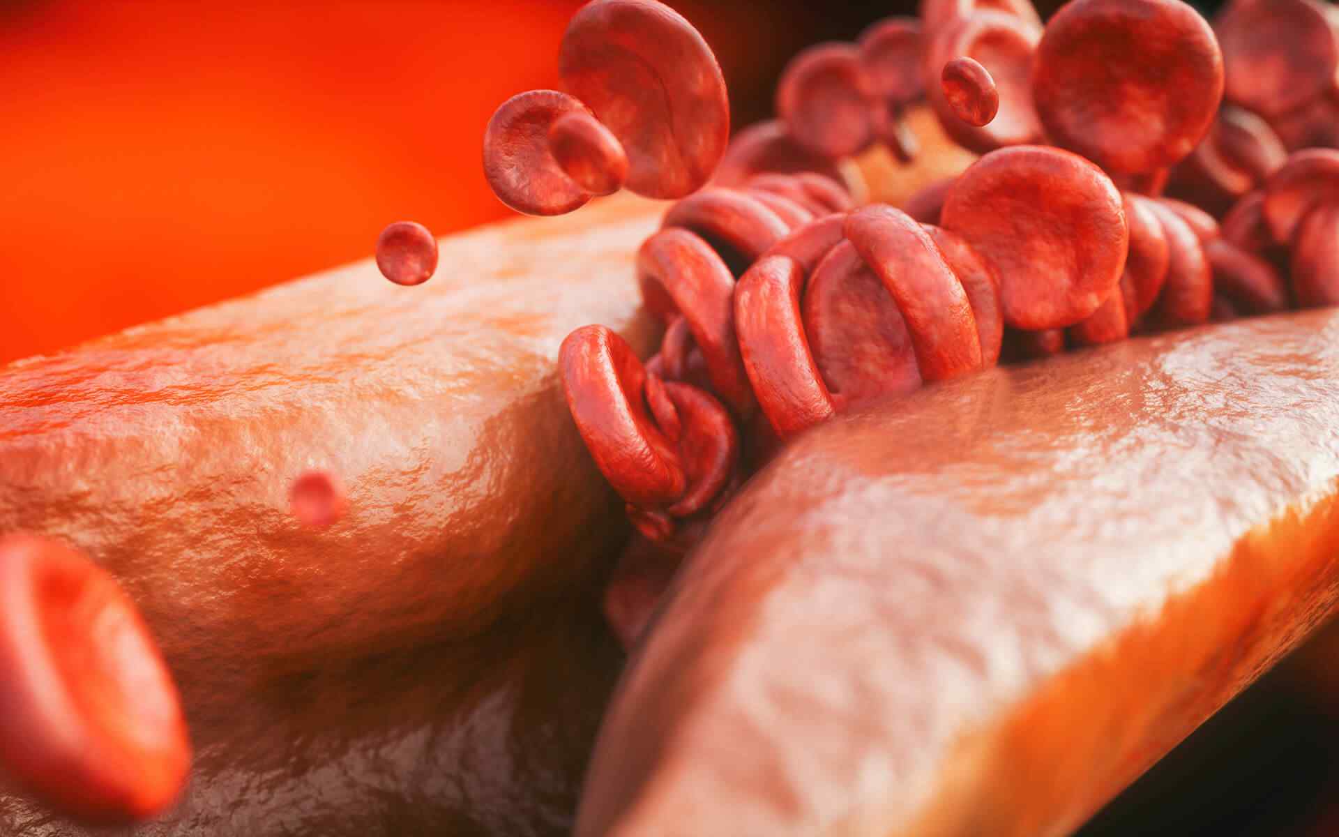 post_11 https://vietgen.vn/wp-content/uploads/2018/04/post_11.jpg