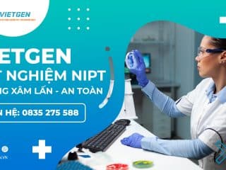 Dịch Vụ Xét Nghiệm NIPT Ở Hà Nội, Không Xâm Lấn, An Toàn banner dịch vụ xét nghiệm nipt ở hà nội