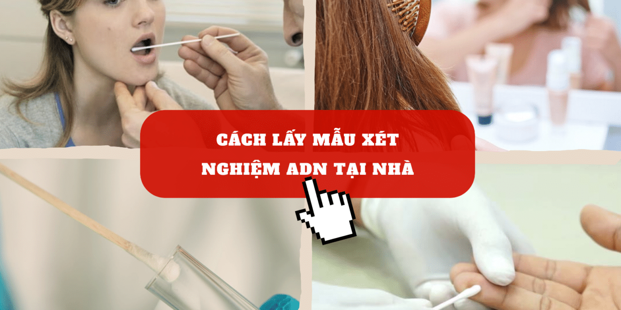 Cách Lấy Mẫu Xét Nghiệm ADN Tại Nhà Đơn Giản, Dễ Thực Hiện