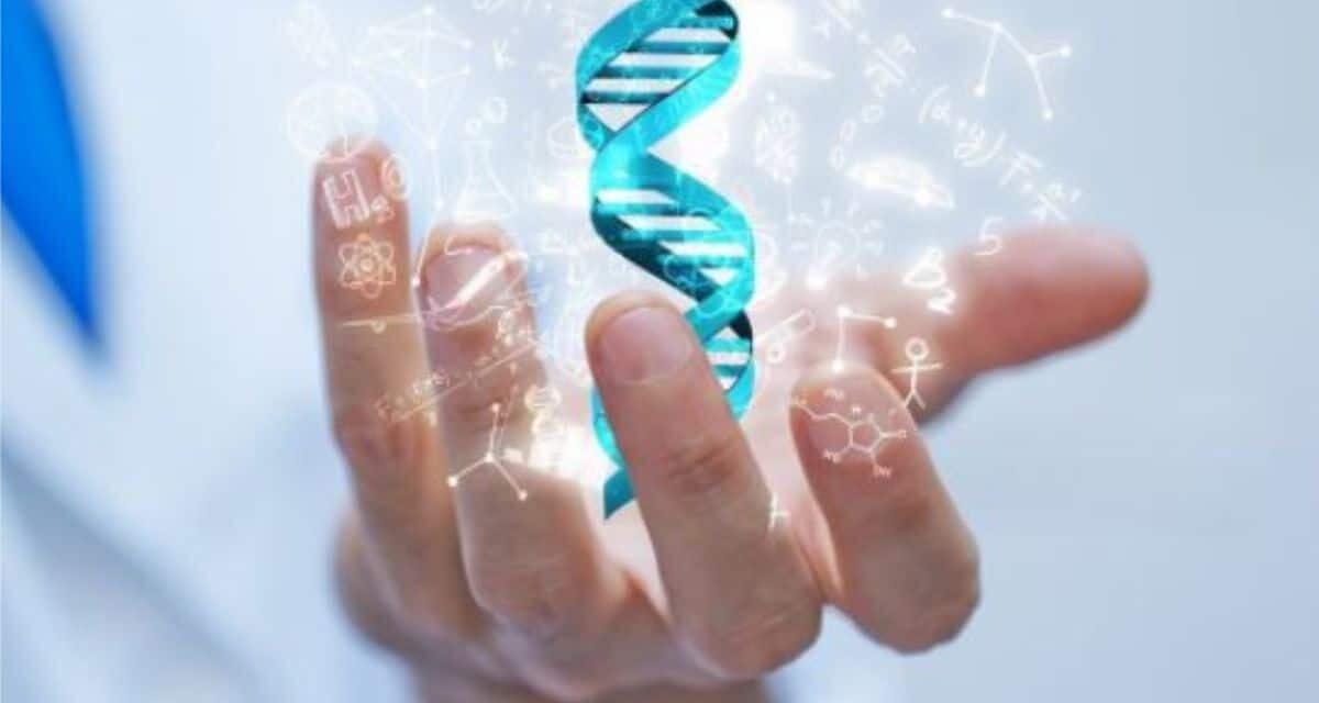 Xét Nghiệm ADN Là Gì? Xét Nghiệm ADN Để Làm Gì?