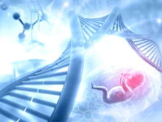 Xét Nghiệm ADN Thai Nhi - Xác Định Huyết Thống Ngay Từ Trong Bụng Mẹ xet-nghiem-adn-thai-nhi-4