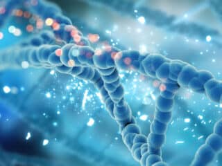 Dịch vụ Xét nghiệm NIPT tại Hà Nội chuc-nang-cua-adn-3