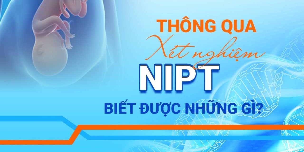 Xét Nghiệm NIPT Biết Được Những Gì? Có Mấy Gói NIPT?