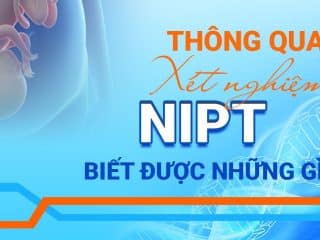 Xét Nghiệm NIPT Biết Được Những Gì? Có Mấy Gói NIPT? Xét nghiệm NIPT biết được những gì