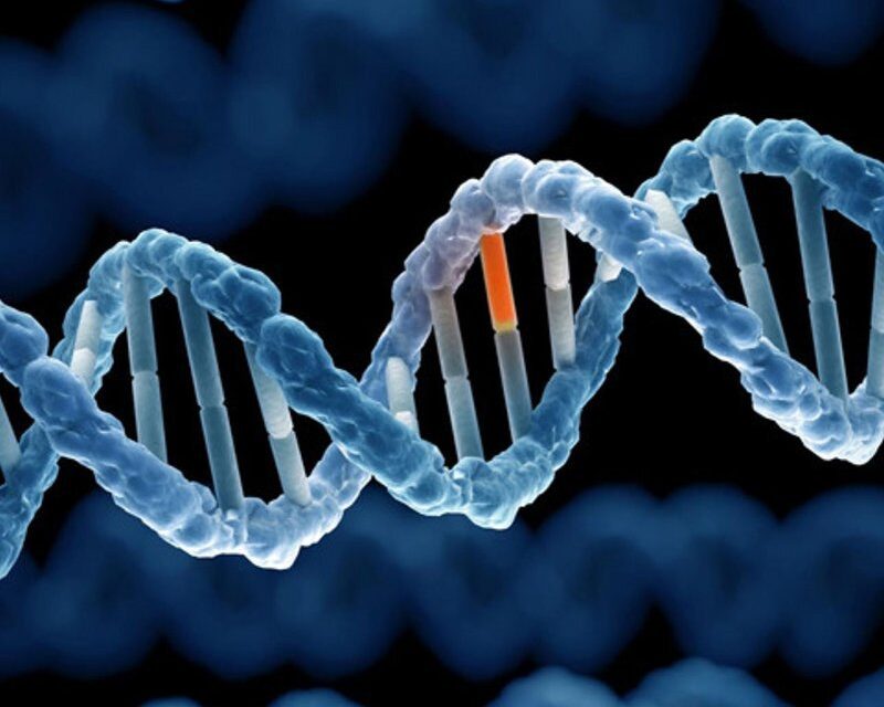 Dịch Vụ Xét Nghiệm ADN Thai Nhi