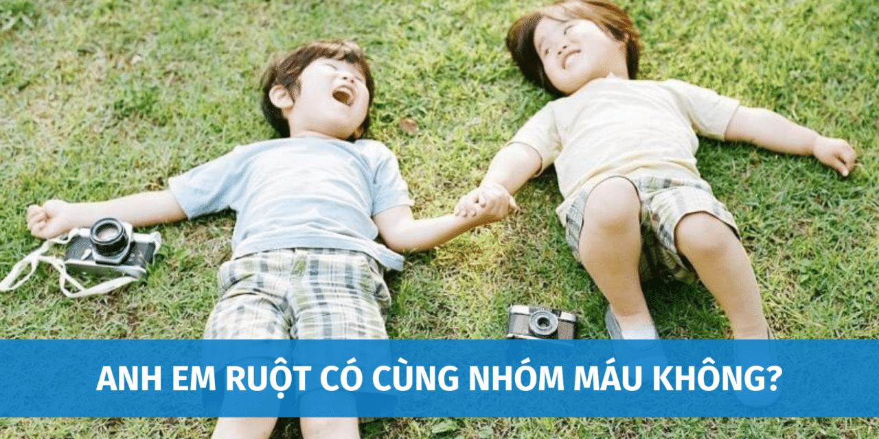 Anh Em Ruột Có Cùng Nhóm Máu Không? Kiểm Tra Huyết Thống Thông Qua Nhóm Máu Có Chính Xác Không?
