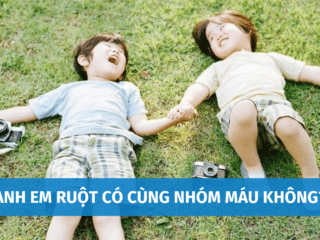 Anh Em Ruột Có Cùng Nhóm Máu Không? Kiểm Tra Huyết Thống Thông Qua Nhóm Máu Có Chính Xác Không? anh-em-ruot-co-cung-nhom-mau-khong-5