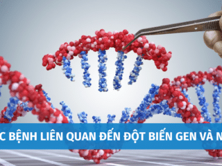 Tổng Hợp Các Bệnh Liên Quan Đến Đột Biến Gen Và NST Bạn Cần Biết cac-benh-lien-quan-den-dot-bien-gen-va-nst-1