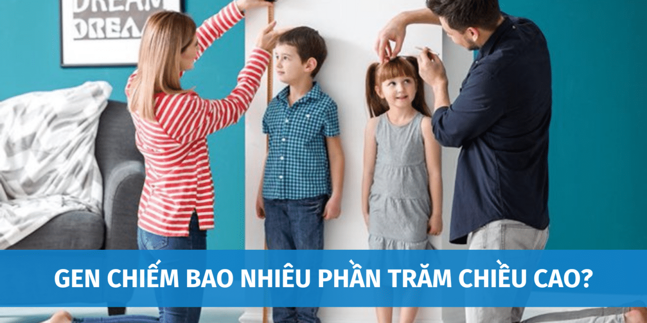 Gen Chiếm Bao Nhiêu Phần Trăm Chiều Cao? Các Yếu Tố Tác Động Đến Sự Phát Triển Chiều Cao Ít Ai Quan Tâm