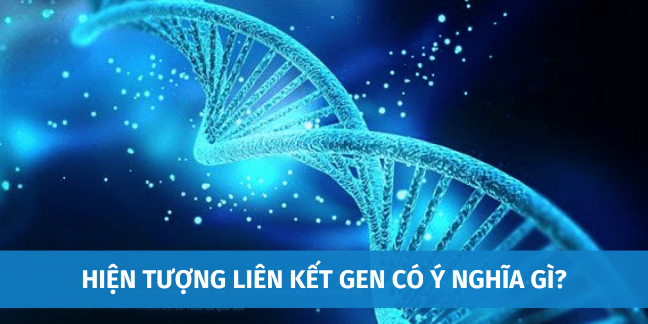 Hiện Tượng Liên Kết Gen Có Ý Nghĩa Như Thế Nào? Điểm Khác Nhau Giữa Liên Kết Gen Và Hoán Vị Gen