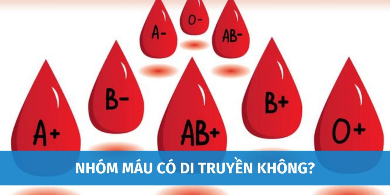 Giải Đáp: Nhóm Máu Có Di Truyền Không? Tại Sao Có Trường Hợp Con Không Cùng Nhóm Máu Bố Mẹ?