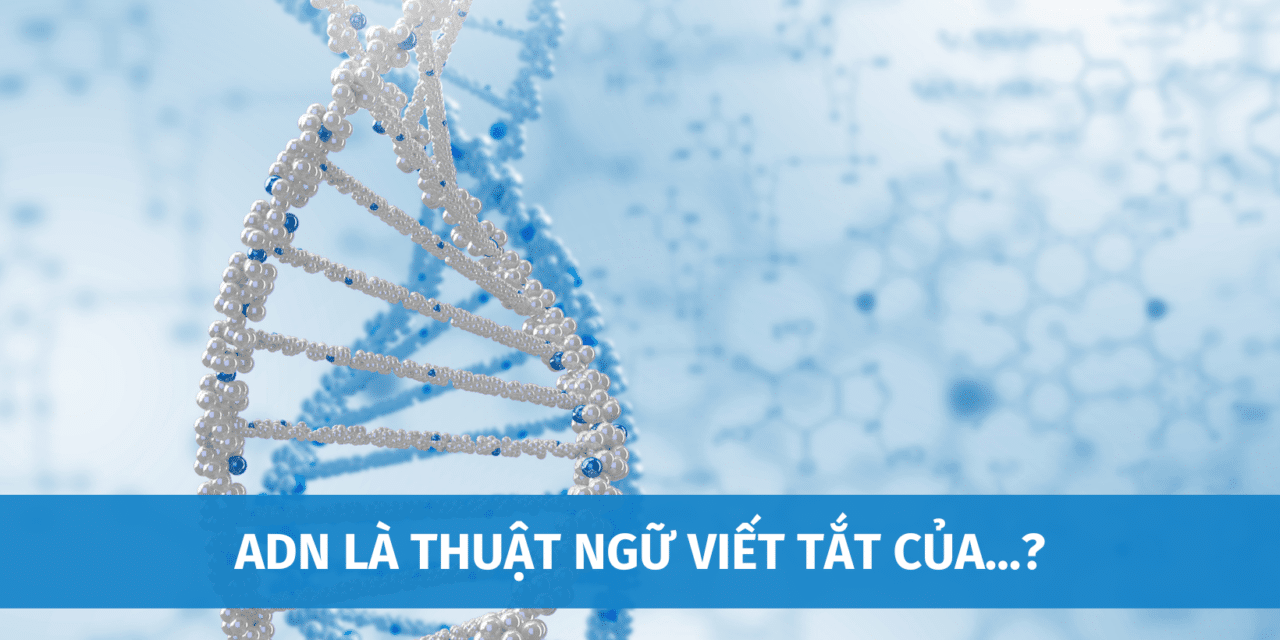 ADN Là Thuật Ngữ Viết Tắt Của Từ Gì? Tổng Hợp Những Điều Cơ Bản Cần Biết Về ADN