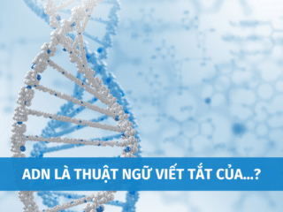 ADN Là Thuật Ngữ Viết Tắt Của Từ Gì? Tổng Hợp Những Điều Cơ Bản Cần Biết Về ADN adn-la-thuat-ngu-viet-tat-cua-5