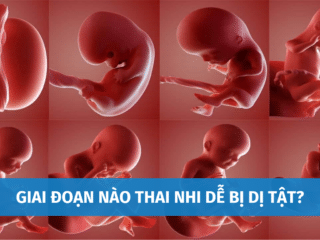 Giai Đoạn Nào Thai Nhi Dễ Bị Dị Tật? 3 Thời Điểm Vàng Giúp Pháp Hiện Dị Tật Thai Nhi giai-doan-nao-thai-nhi-de-bi-di-tat-5