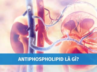 Antiphospholipid Là Gì? Nguyên Nhân Và Triệu Chứng Của Hội Chứng Antiphospholipid antiphospholipid-la-gi