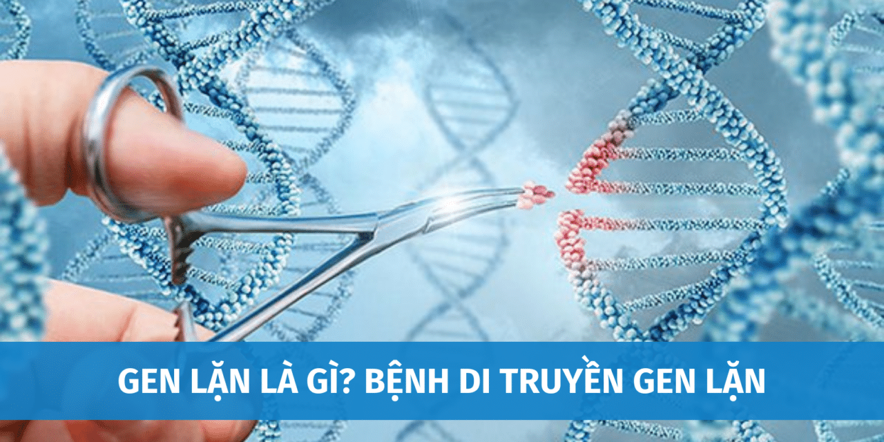 Gen Lặn Là Gì? Top 9 Bệnh Di Truyền Gen Lặn Phổ Biến Nhất Tại Việt Nam