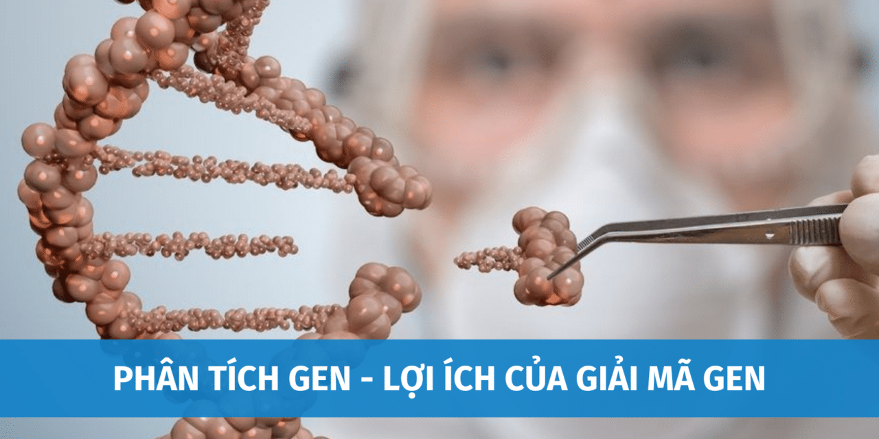 Phân Tích Gen Là Gì? Lợi Ích Của Việc Giải Mã Gen