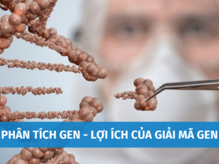 Phân Tích Gen Là Gì? Lợi Ích Của Việc Giải Mã Gen phan-tich-gen-1
