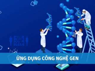 Ứng Dụng Công Nghệ Gen, Thành Tựu Của Tạo Giống Bằng Công Nghệ Gen ung-dung-cong-nghe-gen