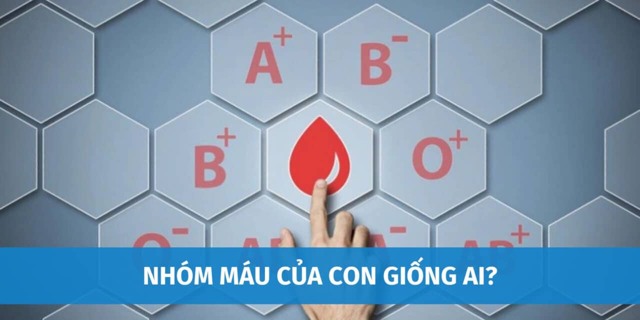 Nhóm Máu Của Con Giống Ai? Giải Đáp Từ Các Chuyên Gia