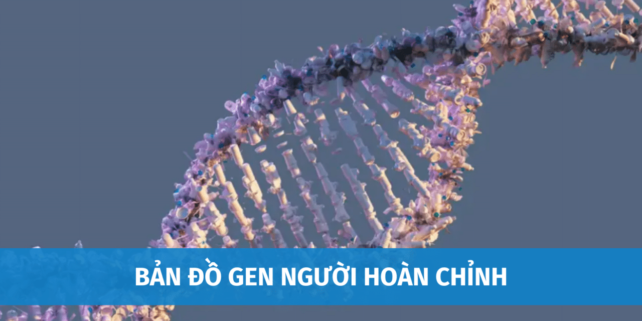 Bản Đồ Gen Người Hoàn Chỉnh Đầu Tiên Trên Thế Giới Được Công Bố Ngày 31/03/2022