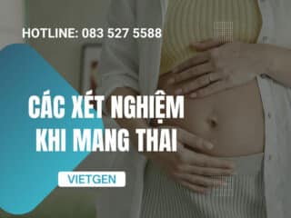 Top 8 Các Xét Nghiệm Khi Mang Thai Quan Trọng Và Mốc Thời Gian Thực Hiện Tốt Nhất Mẹ Bầu Phải Biết cac-xet-nghiem-khi-mang-thai