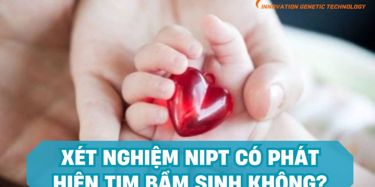 Giải Đáp: Xét Nghiệm NIPT Có Phát Hiện Tim Bẩm Sinh Không?
