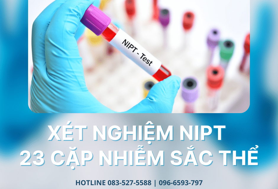 Xét Nghiệm NIPT 23 Cặp Nhiễm Sắc Thể | Trọn Bộ Thông Tin A-Z Điều Cần Biết
