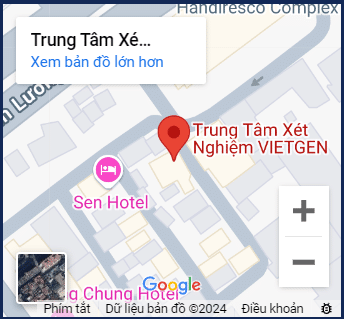 https://vietgen.vn/wp-content/uploads/2024/11/google-map-vietgen.png